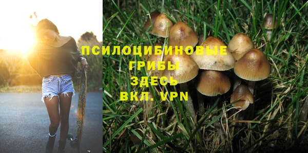 гашишное масло Богданович