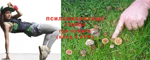 PSILOCYBIN Красноперекопск