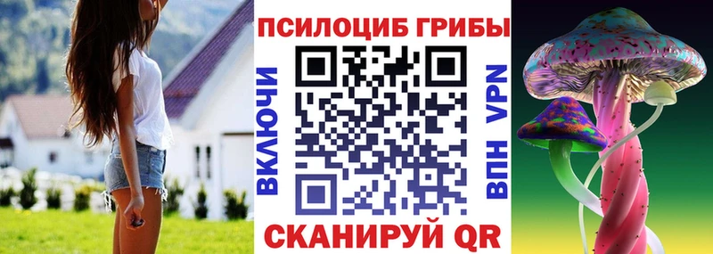 Галлюциногенные грибы Psilocybe Верхотурье